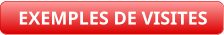 EXEMPLES DE VISITES